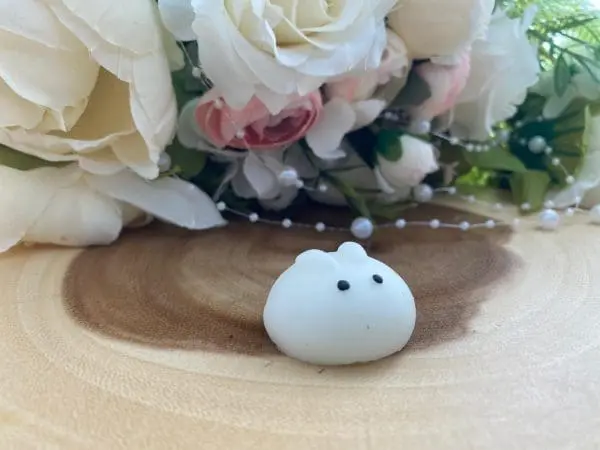 Mochi Hasi