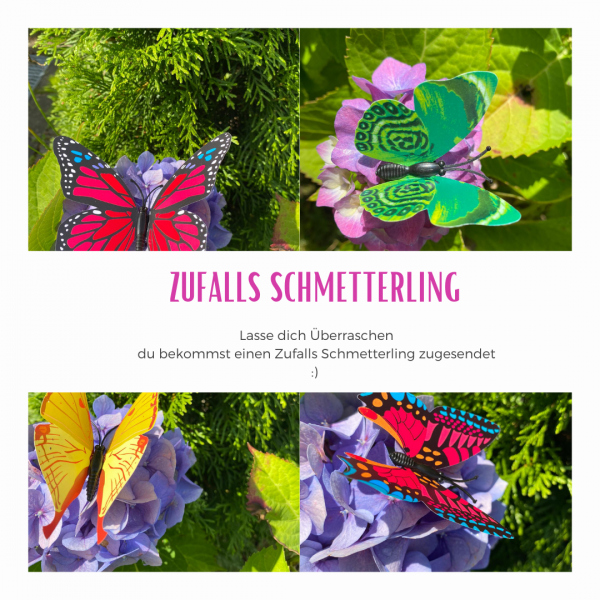 Zufalls Schmetterling (Kleinkind)