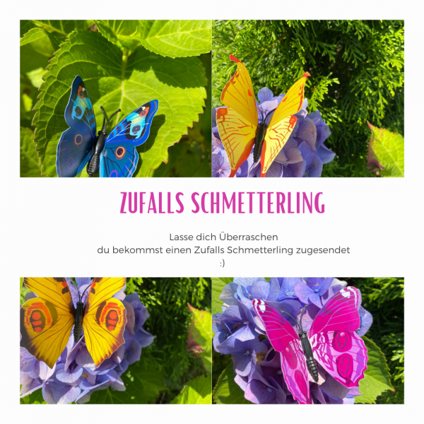 Zufalls Schmetterling (Baby)