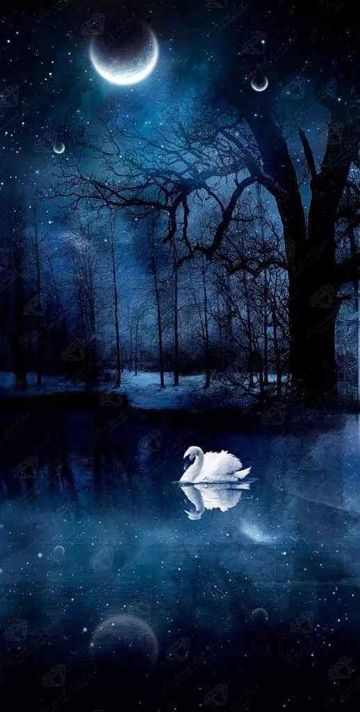 Meine kleine Bilder Lager Sammlung 66 swan lake diamond art painting 24545338753217 2048x2048
