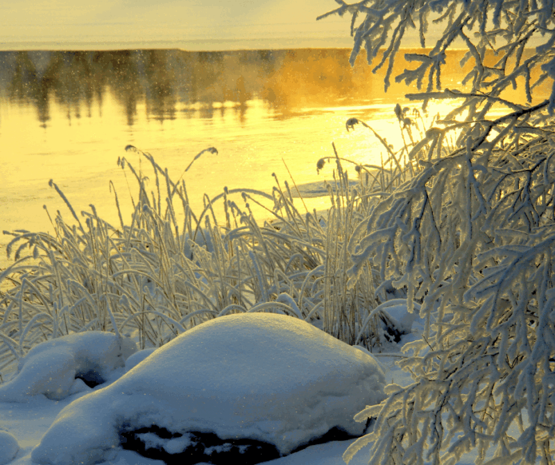 Handgemachte Kerze aus Soja Wachs - Winterlandschaft