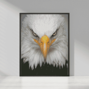 Schau mir in die Augen 50x70 eckige Steine