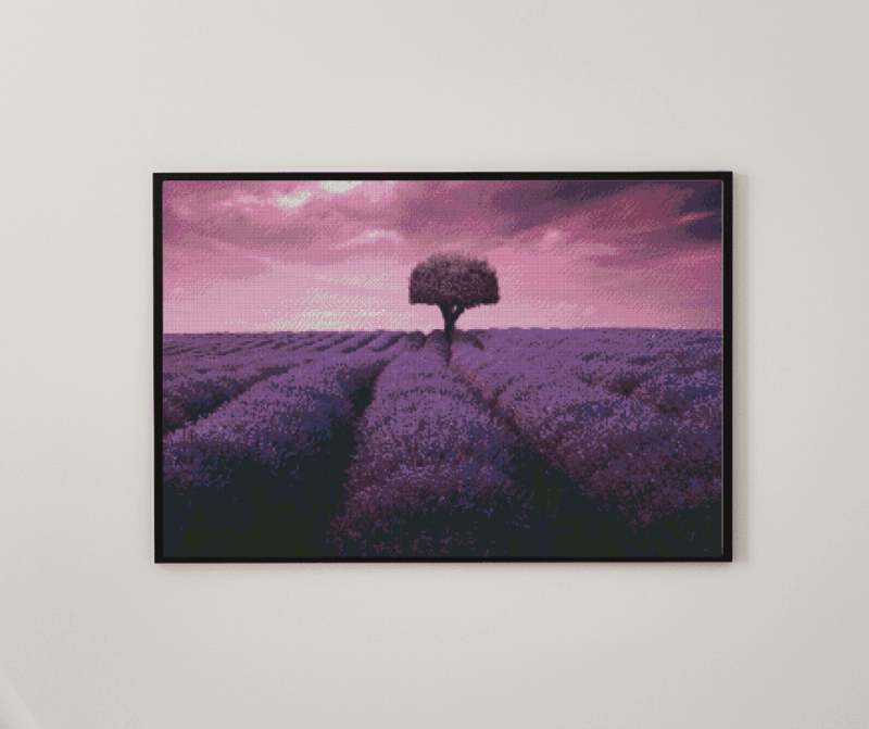 Lavendelfeld 50x70 eckige Steine