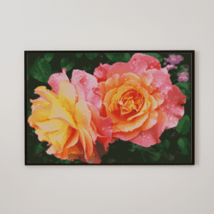 Rosen 50x70 eckige Steine