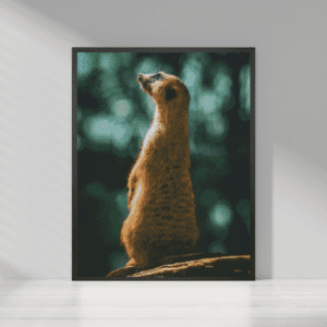 Erdmaennchen 50x70 eckige Steine