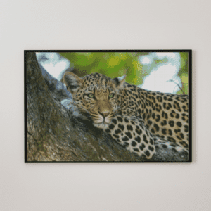 Leopard 50x70 eckige Steine