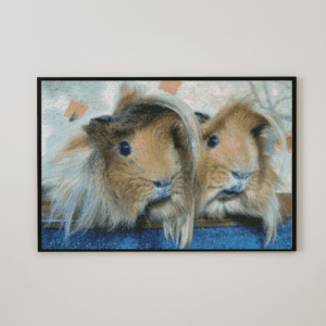 Meerschweinchen 50x70 eckige Steine
