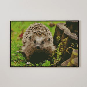 Igel 50x70 eckige Steine