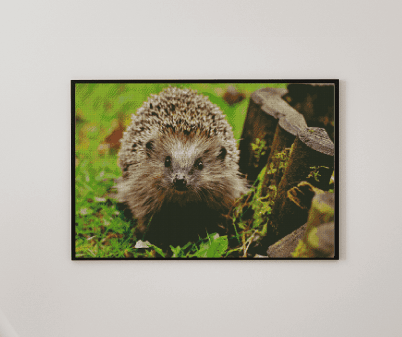 Igel 50x70 eckige Steine