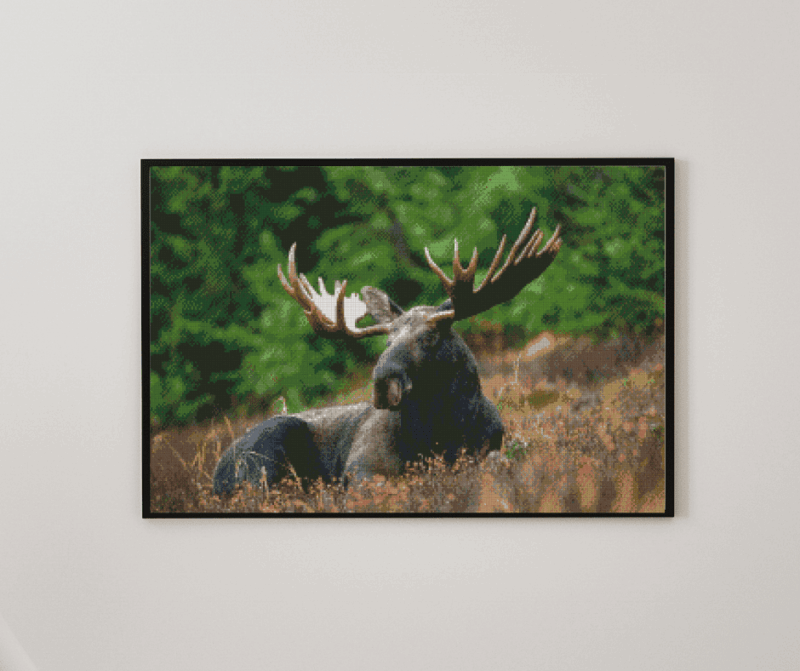 Elch 50x70 eckige Steine