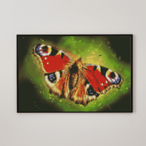 Schmetterling 50x70 eckige Steine