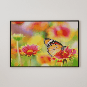 Schmetterling 50x70 eckige Steine