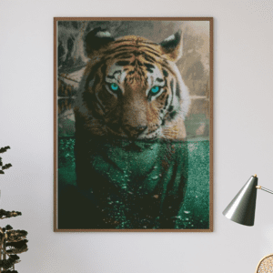 Veto, Tiger im Wasser 120×80 Eckige Steine (60 Farben)