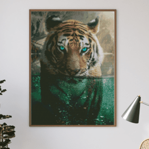 Veto, Tiger im Wasser 50×70 Eckige Steine