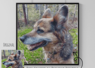 Dein Personalisiertes Bild