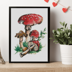 Harenas Artwork, Pilze 30×40 Eckige Steine