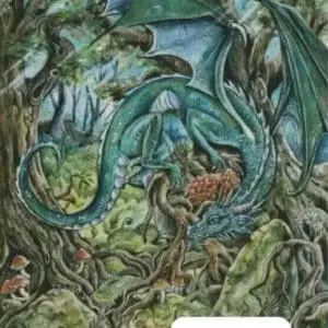 Harena Artwork, Drache 70x90 210 Farben