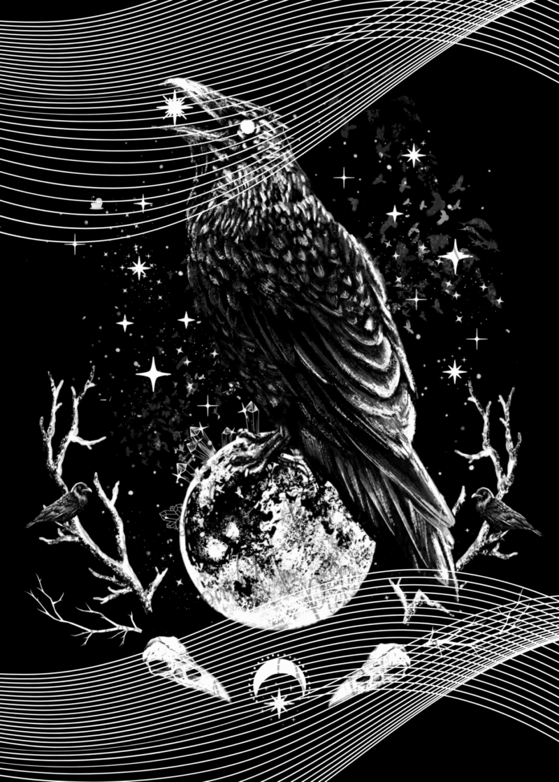 Tiny Tami, Ravenstars 50x70 56 Farben