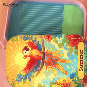 Summer Regenbogen Schiff