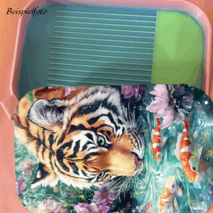 Tiger Regenbogen Schiff