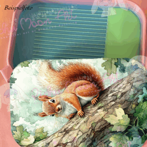 Cozy Squirrel Regenbogen Schiff
