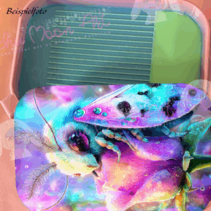 Bloomflutter Regenbogen Schiff