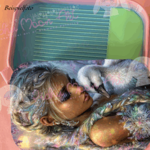 Moonfeather Silence Regenbogen Schiff