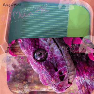 Violett Snake Regenbogen Schiff