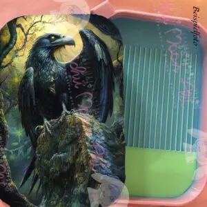 Ruf der Raben Regenbogen Schiff