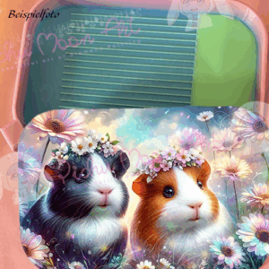 Pixie & Peony Regenbogen Schiff