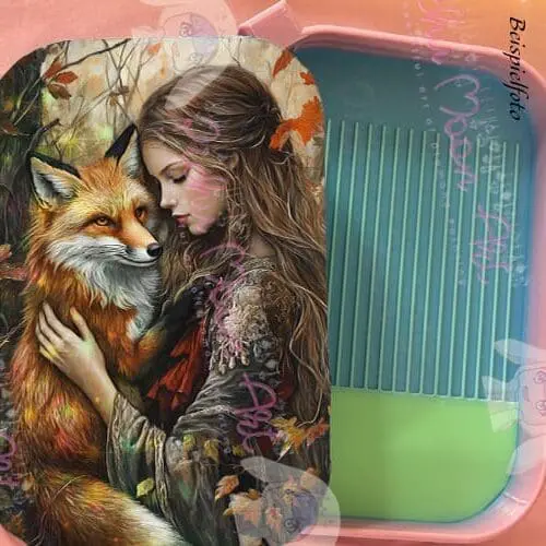 Ju and the Fox Regenbogen Schiff