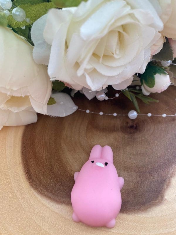 Rosa Hase
