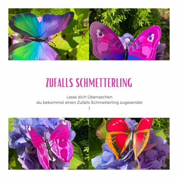 Zufalls Schmetterling (Grosseltern)
