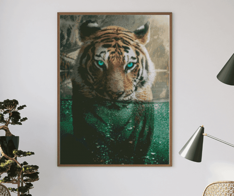 Veto, Tiger im Wasser 50×70 Eckige Steine