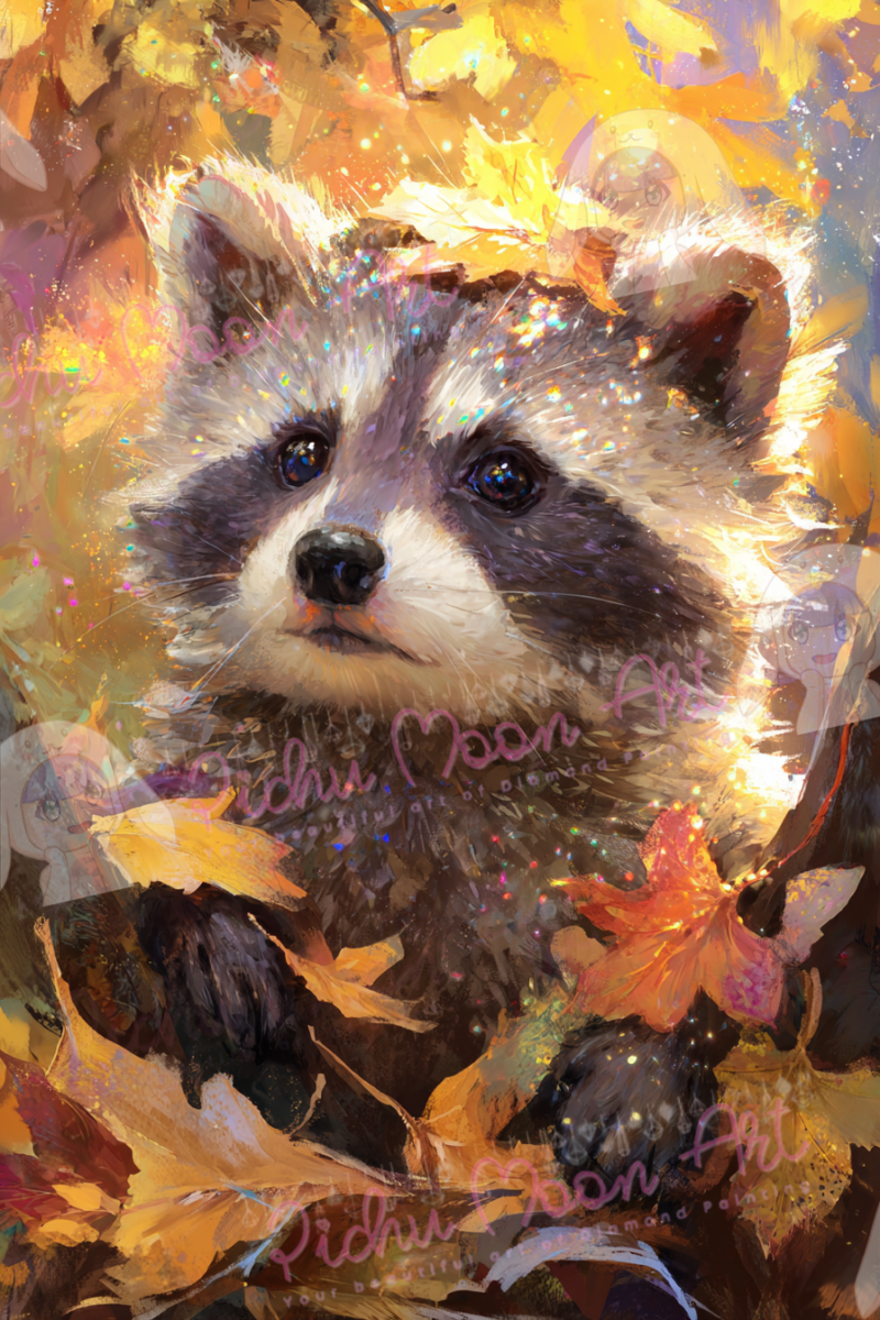 Autumn Raccoon Magic
