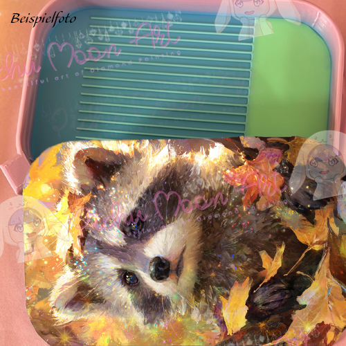 Autumn Raccoon Magic Regenbogen Schiff