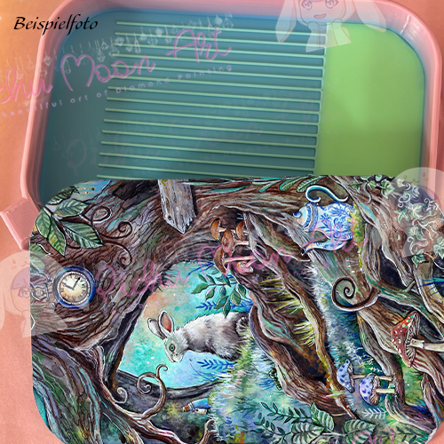 Down the Rabbit hole Regenbogen Schiff