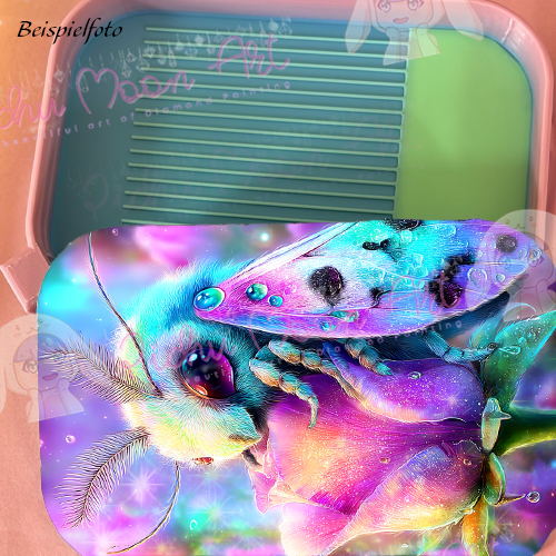 Bloomflutter Regenbogen Schiff