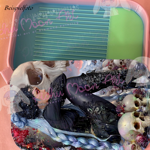 Daughter of Thorns and Silence Regenbogen Schiff