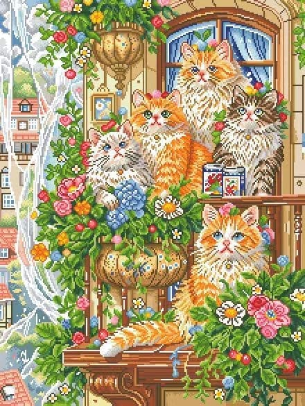 Meow & Shine