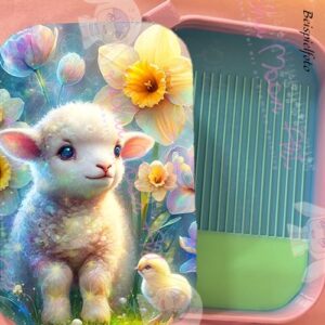 Das Frühlingswunder Regenbogen Schiff