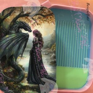 Whisper of Dragons Regenbogen Schiff