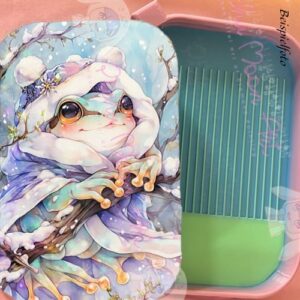 Froschi winter wonderland Regenbogen Schiff