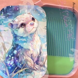 Otter winter wonderland Regenbogen Schiff